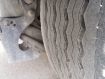 STAS S300CX 91m3 walkingfloor