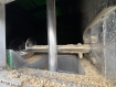 MAN TGS 26.440 6x2-2 BL EURO 5